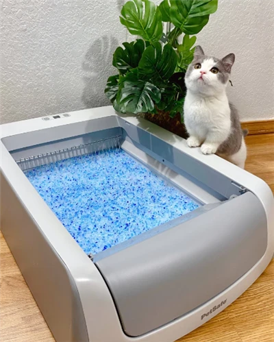 Maca de gato de tofu, amostra grátis, suprimentos de limpeza para animais de estimação, atacado de maca de gato de gel de sílica